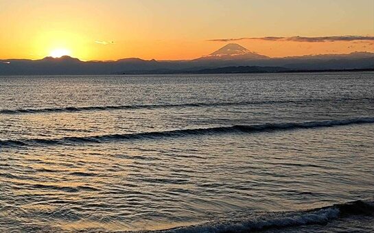 ウィメンズデーに